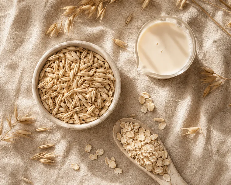 Oats and oat lipid extract flat lay
